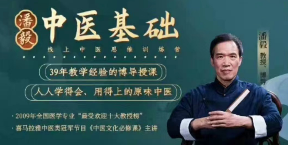 潘毅·用中成药应对家庭常见病（训练营）-藏宝阁