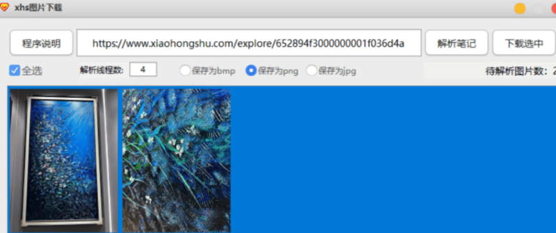 小红书笔记图片下载-藏宝阁