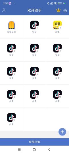 应用多开-藏宝阁