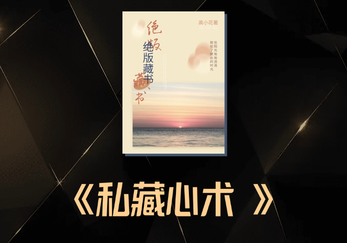 私藏心术-藏宝阁