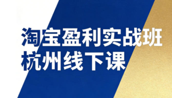 淘宝盈利实战班杭州线下课12月26-28日(音频+字幕)，帮你掌握SOP流程+12门核心技术-藏宝阁