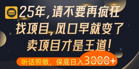 什么？25年你还在疯狂找项目做，醒醒吧，看完这些你全都懂了【揭秘】-藏宝阁