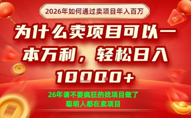 一单净利润1K+，26年想年入100个W，死磕卖项目就够了【揭秘】-藏宝阁