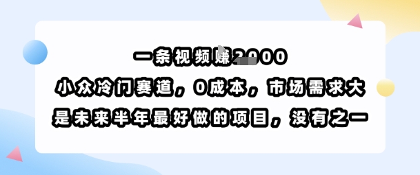 一条视频挣1k，小众冷门赛道，0成本，市场需求大，是未来半年最好做的项目，没有之一-藏宝阁