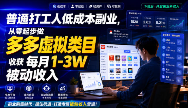普通打工人低成本副业，从零起步做多多虚拟类目，收获每月1-3W被动收入【揭秘】-藏宝阁