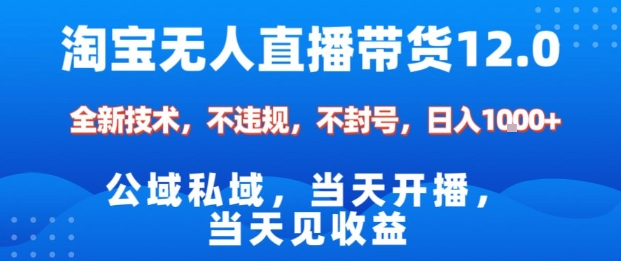 淘宝无人直播12.0，公域私域技术，不封号，不违规布局双十一流量风口，日入1k(独家技术)【揭秘】-藏宝阁