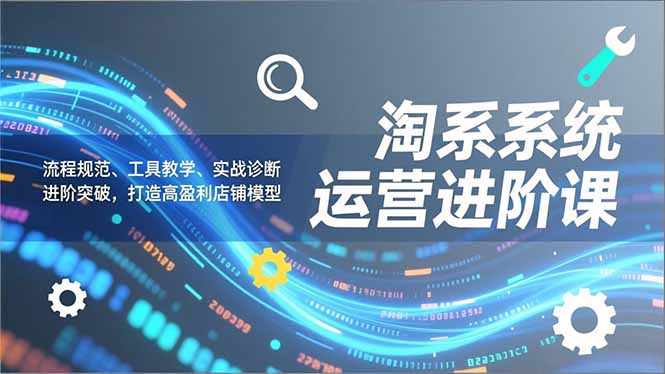 淘系系统运营进阶课2.0，流程规范、工具教学、实战诊断，进阶突破，打造高盈利店铺模型-藏宝阁
