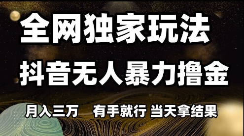 全网独家玩法抖音无人暴力撸金，月入3W，有手就行，当天拿结果【揭秘】-藏宝阁