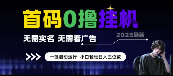 首码0撸挂G项目，无需实名无需看广告 一键启动运行，小白轻松日入三位数【揭秘】-藏宝阁