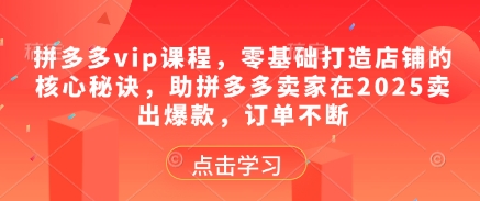 拼多多vip课程，零基础打造店铺的核心秘诀，助拼多多卖家在2025卖出爆款，订单不断-藏宝阁