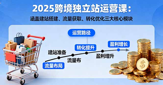 2025跨境独立站运营课：涵盖建站搭建、流量获取、转化优化三大核心模块-藏宝阁