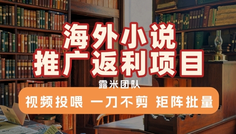 海外小说推广返利项目，视频投喂， 一刀不剪，矩阵批量-藏宝阁