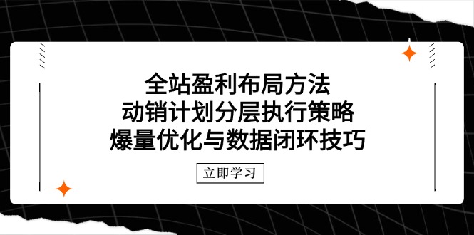 全站盈利布局方法：动销计划分层执行策略，爆量优化与数据闭环技巧-藏宝阁