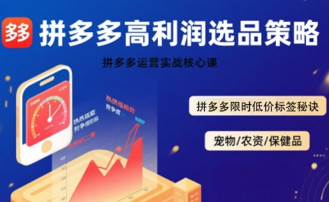 拼多多选品暴利技术实战课，拼多多高利润选品策略，拼多多限时低价标签秘诀-藏宝阁