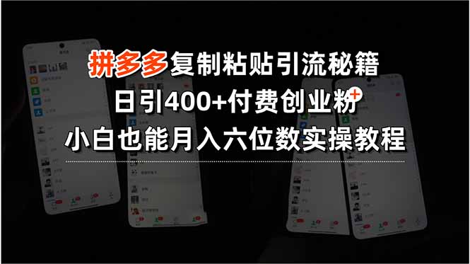 拼多多复制粘贴引流秘籍，日引400+付费创业粉，小白也能月入六位数实操…-藏宝阁