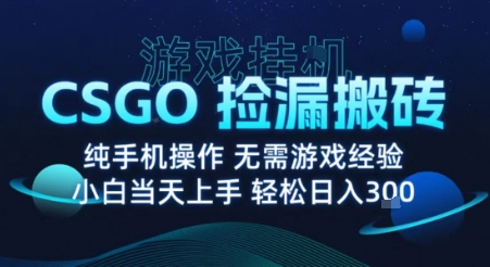 8月最新游戏搬砖，CSGO纯挂G，不需要玩游戏，实现真挂G，月入1W+【揭秘】-藏宝阁