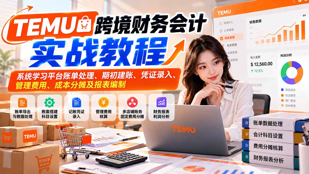 TEMU跨境财务会计实战教程：系统学习平台账单处理、期初建账、凭证录入、管理费用、成本分摊及报表编制-藏宝阁