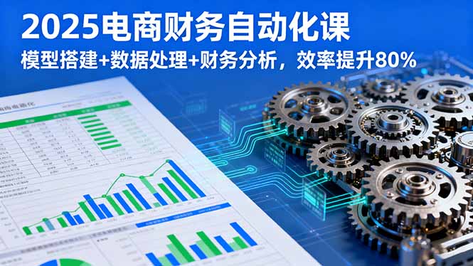 2025电商财务自动化课，模型搭建+数据处理+财务分析，效率提升80%-藏宝阁