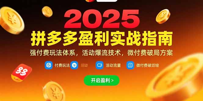拼多多盈利实战指南，强付费玩法，活动爆流技术，微付费破局方案(更新7月-藏宝阁