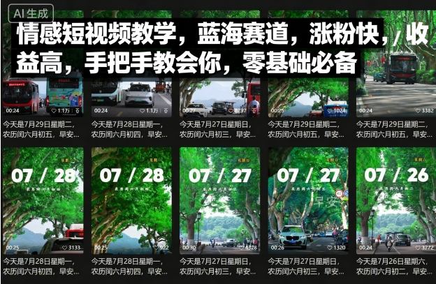 情感短视频教学，蓝海赛道，涨粉快，收益高，手把手教会你，零基础必备-藏宝阁