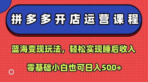 拼多多开店运营课程：蓝海变现玩法，轻松实现睡后收入，零基础小白也可日入5张-藏宝阁