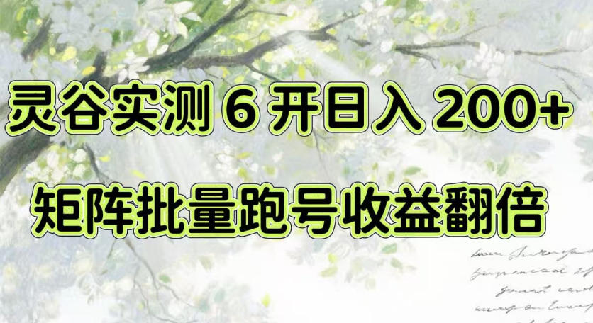 一台电脑就能做！灵谷实测6开日入200+，矩阵批量跑号收益翻倍【揭秘】-藏宝阁