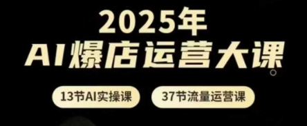 2025年AI爆店运营大课，13节AI实操课+37节流量运营课-藏宝阁