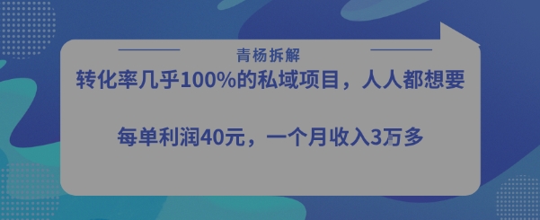 转化率最高的私域项目，每单利润40-50米，月入过1w-藏宝阁