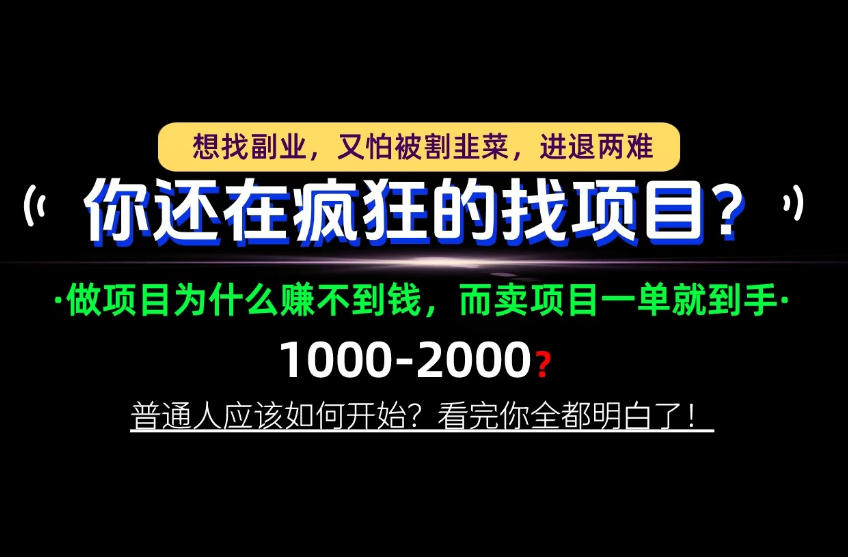 你还在疯狂的找项目？别傻了！卖项目才是真正的一本万利！怎么做，看完你全都明白！【揭秘】-藏宝阁