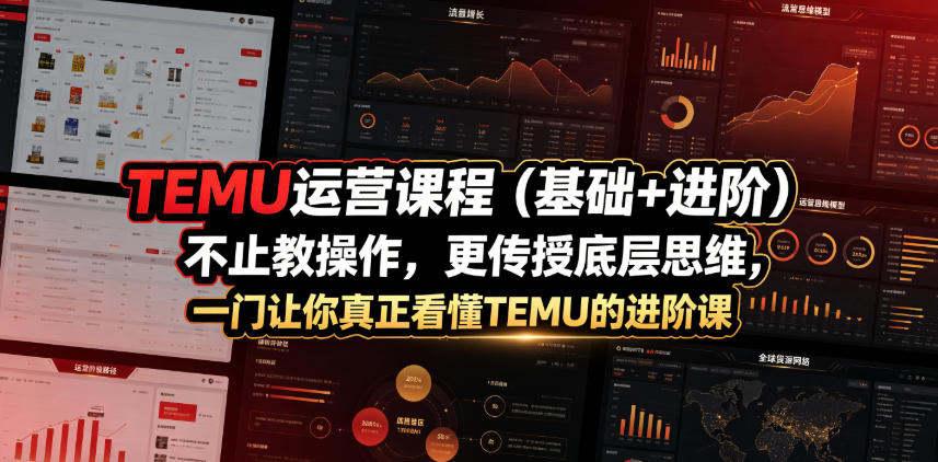 TEMU运营课程(基础+进阶)，不止教操作，更传授底层思维，一门让你真正看懂TEMU的进阶课-藏宝阁