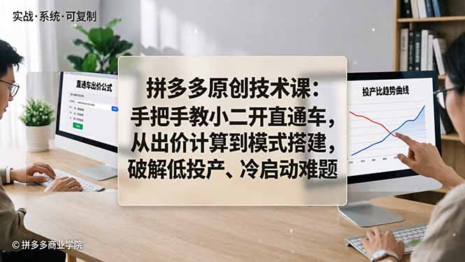 拼多多原创技术课：手把手教小二开直通车，从出价计算到模式搭建，破解低投产、冷启动难题-藏宝阁