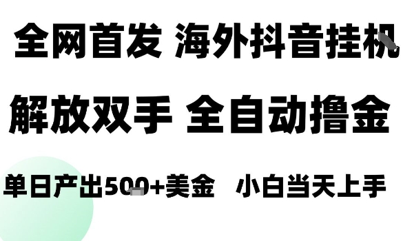 海外抖音无人直播，单日产出1.5k+，长期稳定，新手可玩，无脑操作【揭秘】-藏宝阁