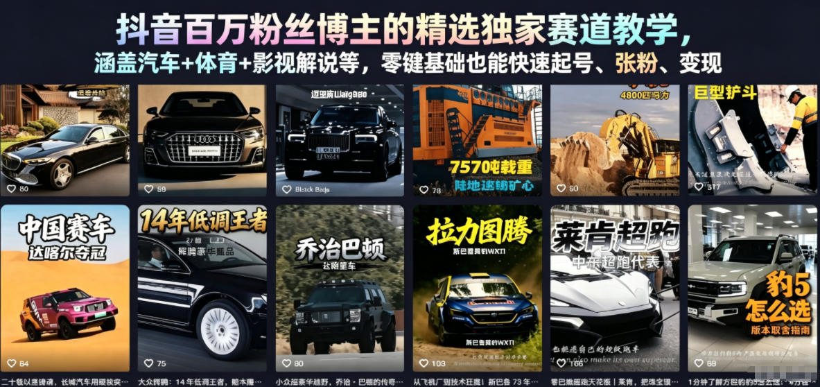 抖音百万粉丝博主的精选独家赛道教学，涵盖汽车+体育+影视解说等，零基础也能快速起号、涨粉、变现(更新0701)-藏宝阁