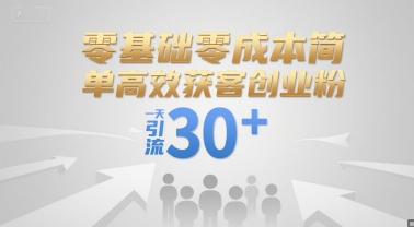 零基础零成本简单高效获客创业粉，一天引流30+-藏宝阁