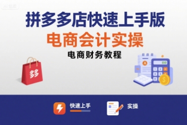 拼多多店快速上手版电商会计实操-电商财务教程-藏宝阁