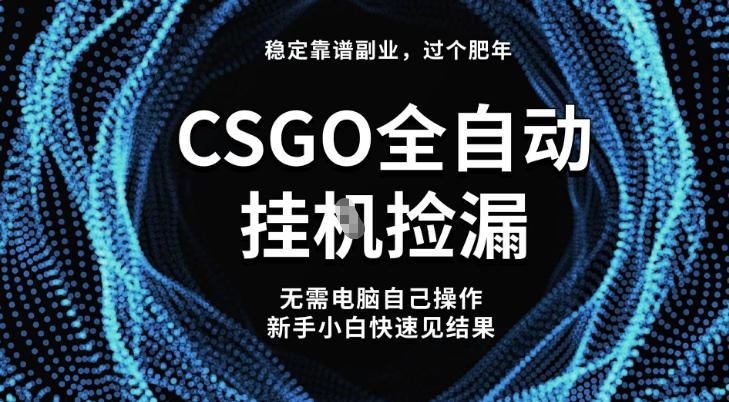 【稳定副业】全球最热门游戏CSGO全自动捡漏，最新玩法，新手小白日入5张+【揭秘】-藏宝阁