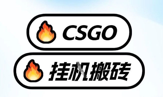 真全网独家CSGO挂G，最新玩法,单日捡漏1K+，不用电脑，不用打游戏【揭秘】-藏宝阁