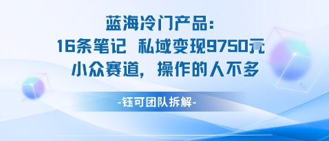 蓝海项目：16条笔记私域变现9750米小众赛道操作的人不多-藏宝阁