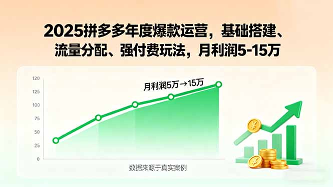 2025拼多多年度爆款运营，基础搭建、流量分配、强付费玩法，月利润5-15万-藏宝阁