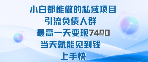 2025年小白都能做的私域项目引流负债人群最高一天变现1k+高变现难度低当天就能见到钱上手快-藏宝阁