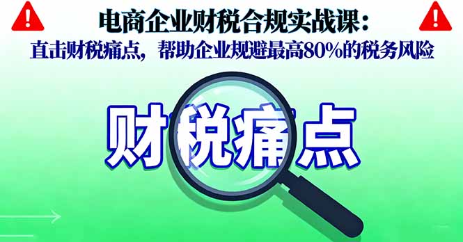 电商企业财税合规实战课，直击财税痛点，帮助企业规避最高80%的税务风险-藏宝阁