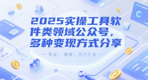 2025实操工具软件类领域公众号，多种变现方式分享-藏宝阁