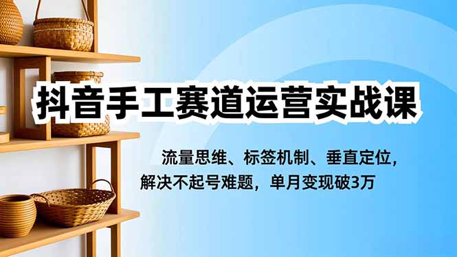 抖音手工赛道运营实战课，流量思维、标签机制、垂直定位，解决不起号难题，单月变现破3万-藏宝阁