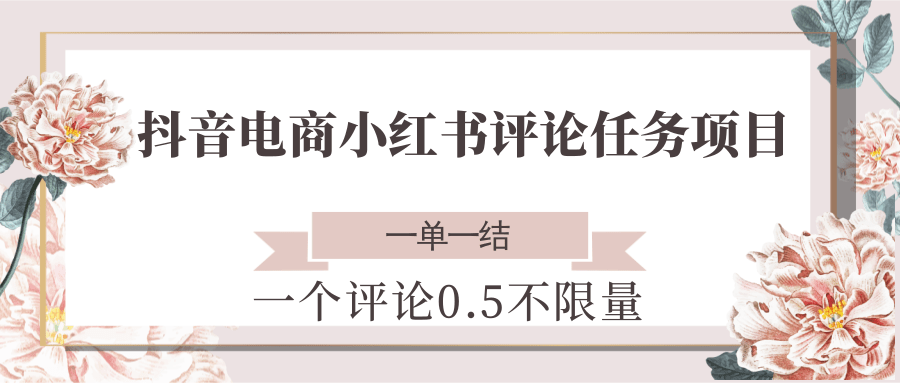 抖音电商小红书评论任务项目，一个评论0.5，一单一结 不限量-藏宝阁
