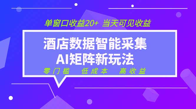 2026酒店数据采集ai智能矩阵新风口  低成本   高收益   当天见收益   单窗口20+-藏宝阁