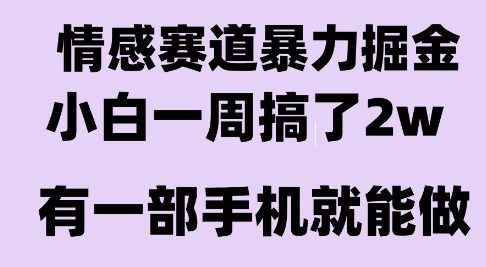 情感暴力掘金项目，新人操作一周挣了2W，长期稳定小白可做【揭秘】-藏宝阁