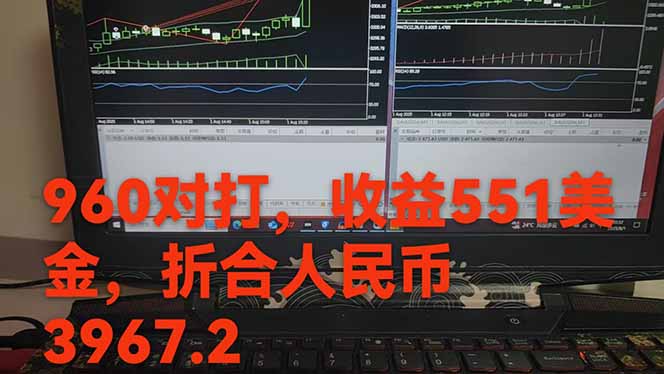 图片[1]-稳定8年的美刀搬砖项目，单人每日收益800—3000.团队4人月入10W+.可线下-藏宝阁