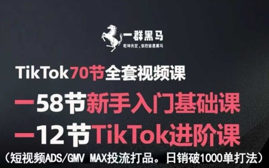 TikTok全套视频课，新手入门+进阶课，短视频ADS-GMV MAX投流打品，日销破1000单打法-藏宝阁