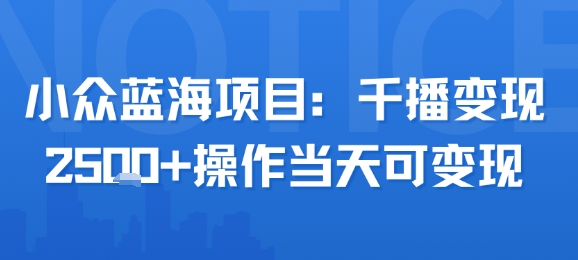 小众蓝海项目，千播变现2.5k+操作当天可变现-藏宝阁