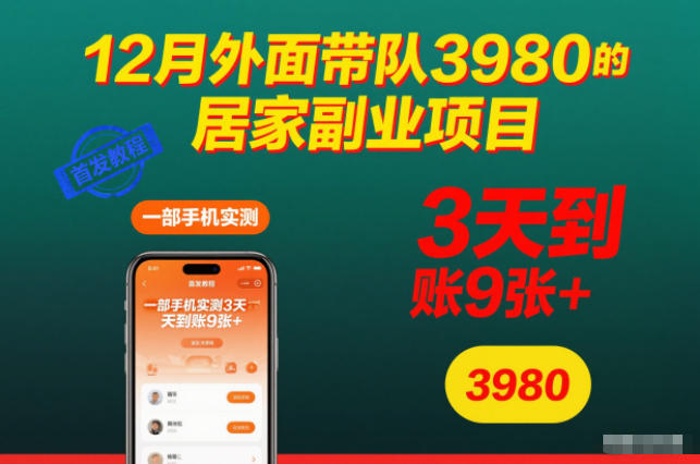 12月外面带队3980的居家副业项目，一部手机实测3天到账9张+，首发教程【揭秘】-藏宝阁